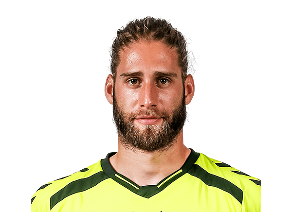 Stefan van der Lei