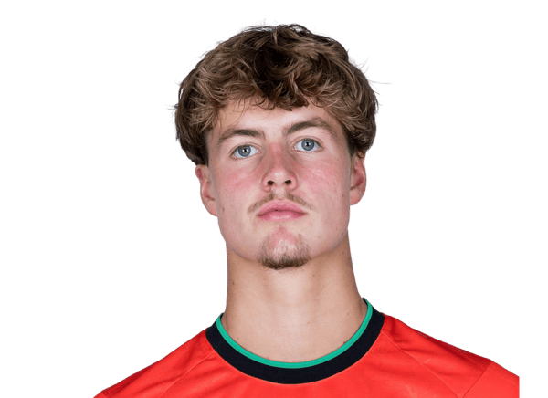 Merijn Van De Wiel